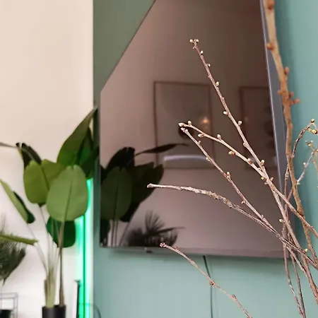 Sa Exklusives Stadtapartment Mit 3 Sz