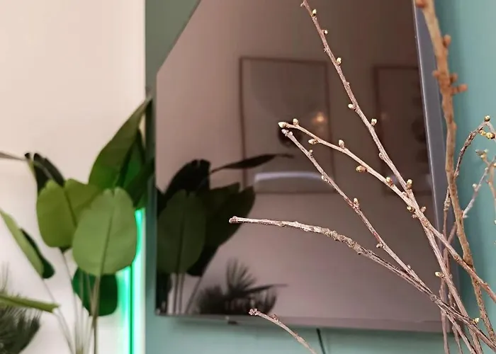 Sa Exklusives Stadtapartment Mit 3 Sz